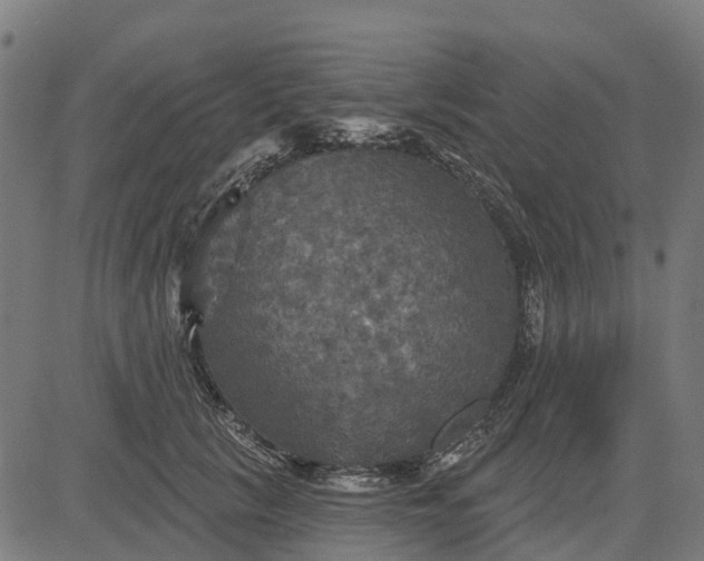 X0000084560657200703091746