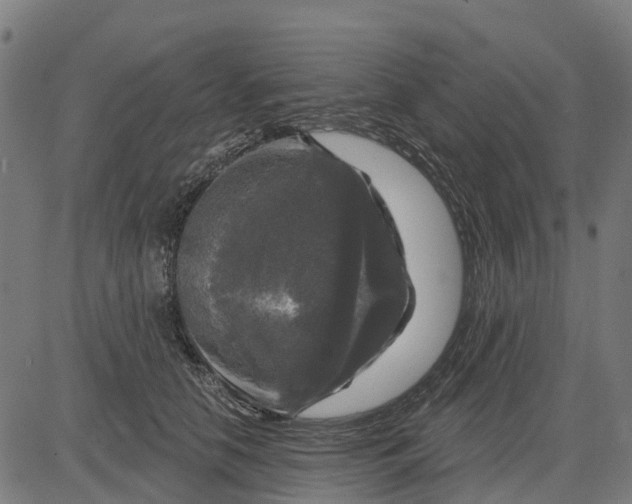 X0000084560658200703091746