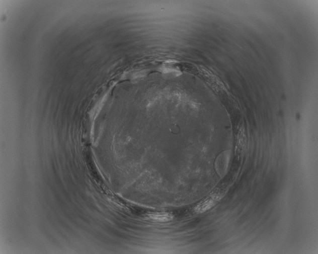 X0000084560659200703091746