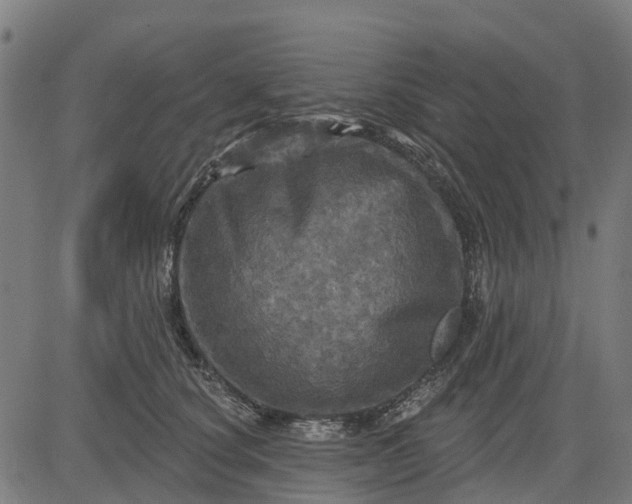 X0000084560660200703091746