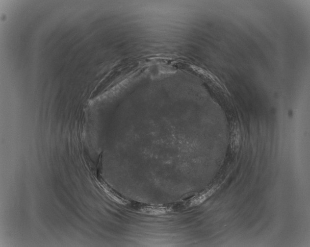 X0000084560661200703091746