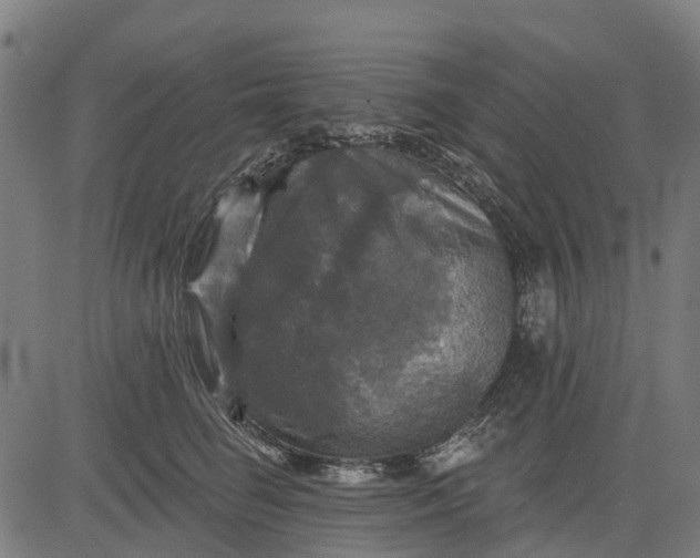 X0000084560662200703091746