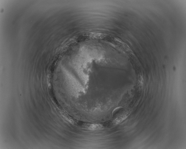 X0000084560663200703091746