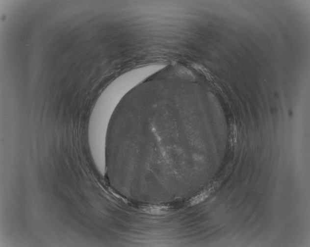 X0000084560664200703091746