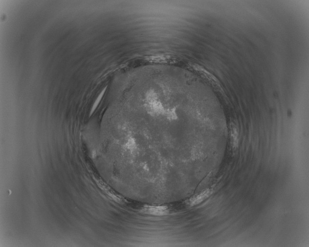 X0000084560665200703091746