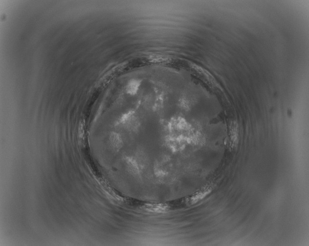 X0000084560667200703091746