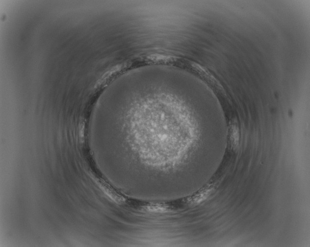 X0000084560668200703091746