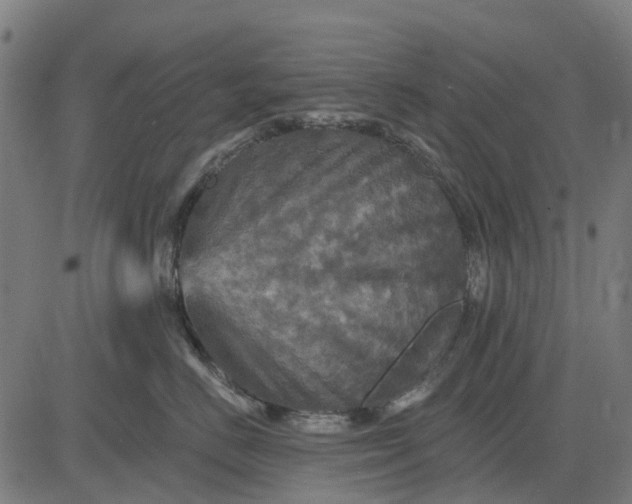 X0000084560670200703091746