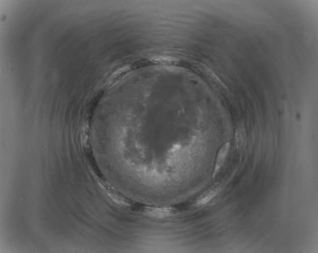 X0000084560671200703091746