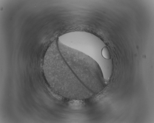 X0000084560672200703091747