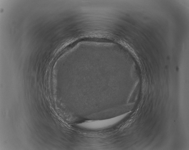 X0000084560673200703091746