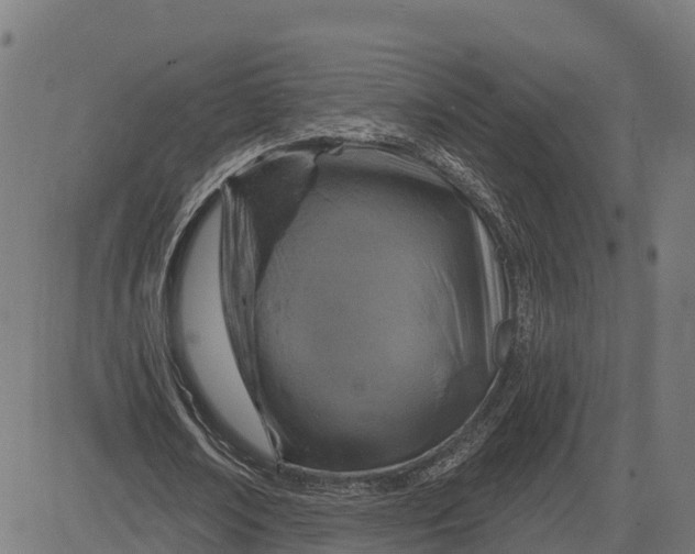 X0000084560674200703091746