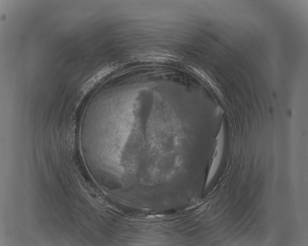 X0000084560675200703091746