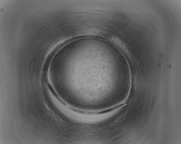 X0000084560676200703091746