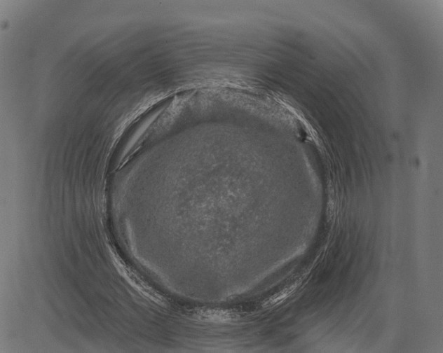 X0000084560677200703091746