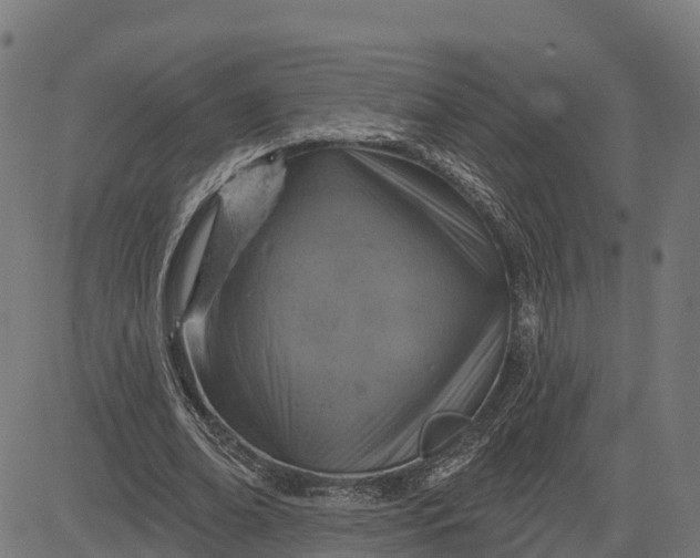 X0000084560678200703091746