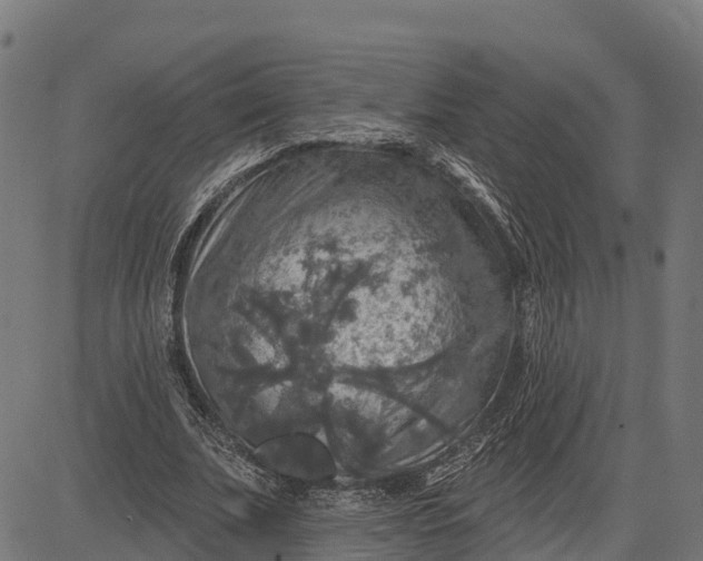 X0000084560679200703091746