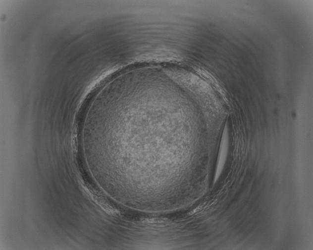 X0000084560680200703091746