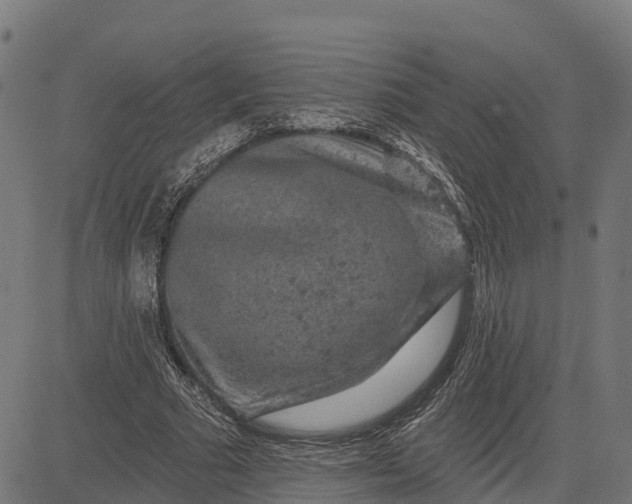 X0000084560681200703091746