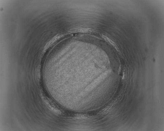 X0000084560682200703091746