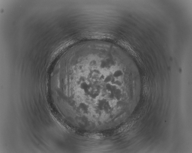 X0000084560683200703091746