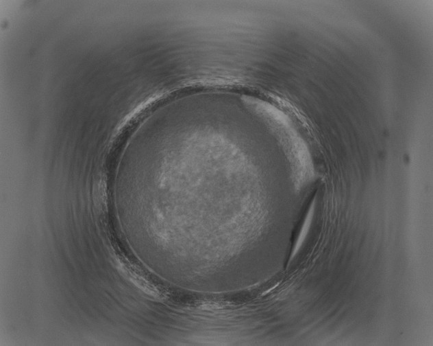 X0000084560684200703091746