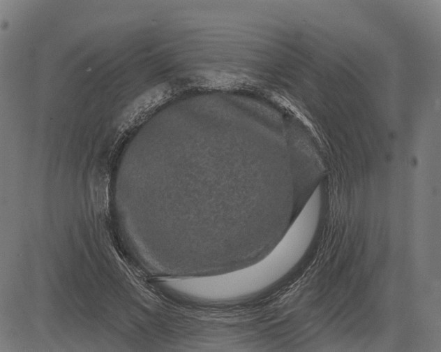 X0000084560685200703091746