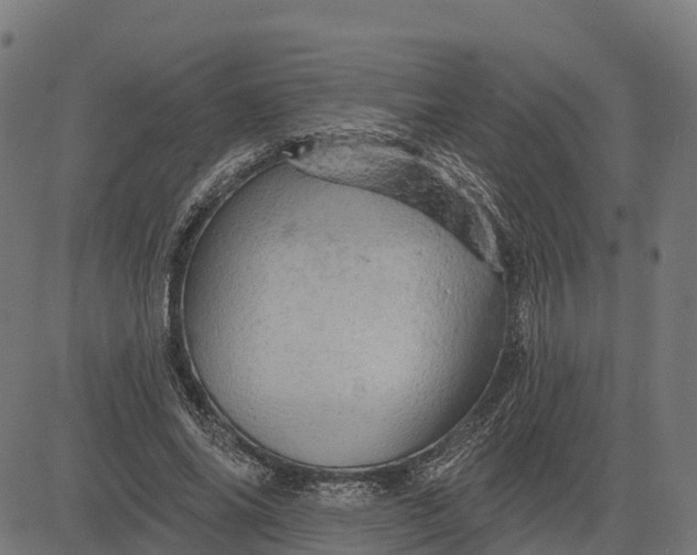 X0000084560686200703091745