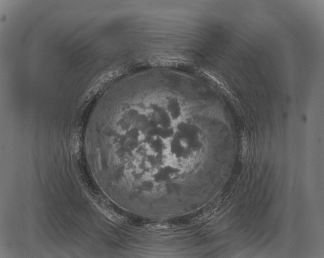 X0000084560687200703091745