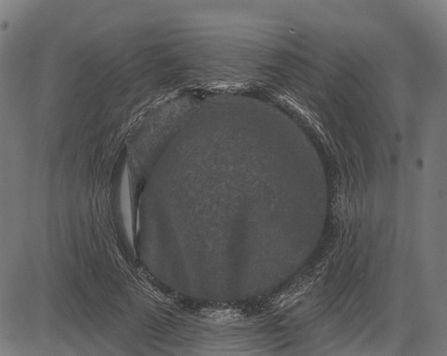 X0000084560689200703091745