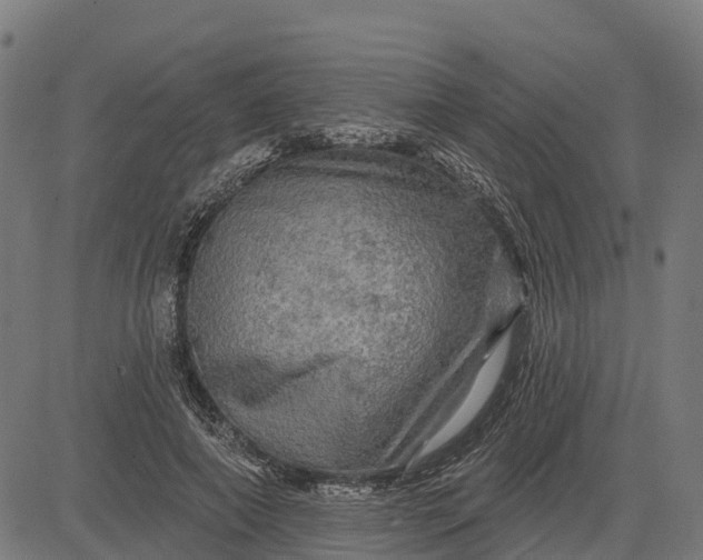 X0000084560690200703091745