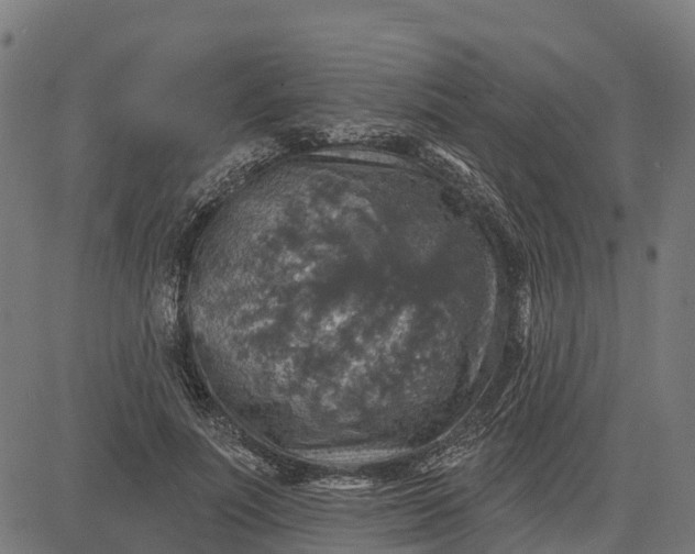 X0000084560691200703091745