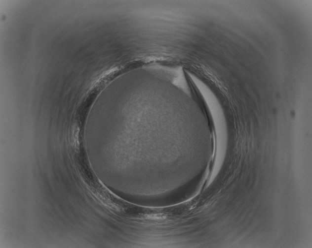 X0000084560692200703091745