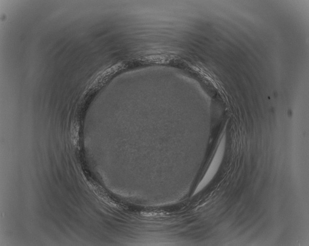 X0000084560693200703091745