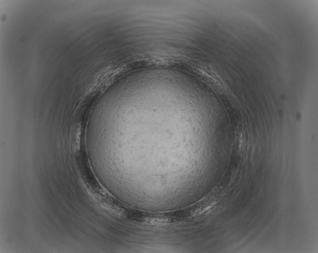 X0000084560694200703091745