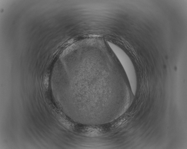 X0000084560697200703091745