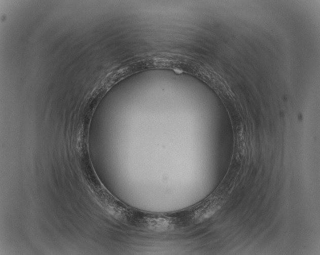 X0000084560698200703091745