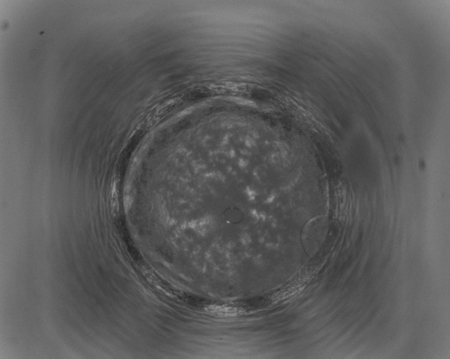 X0000084560699200703091745