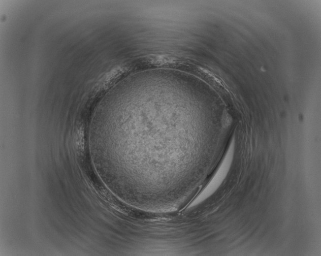 X0000084560700200703091745