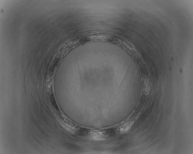 X0000084560701200703091745