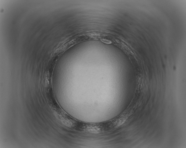 X0000084560702200703091745