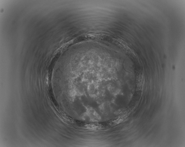 X0000084560703200703091745