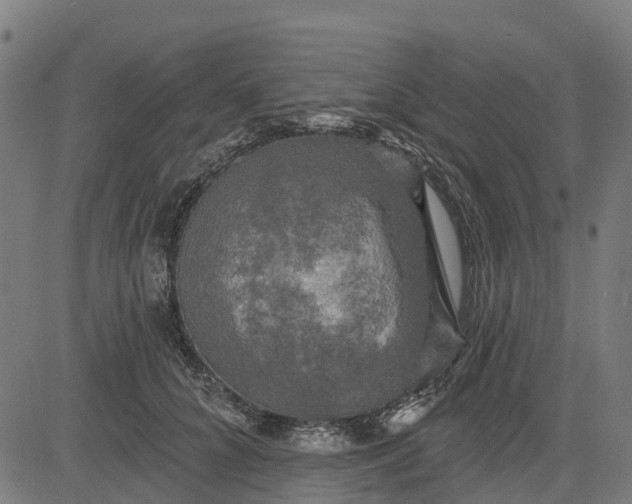 X0000084560704200703091745