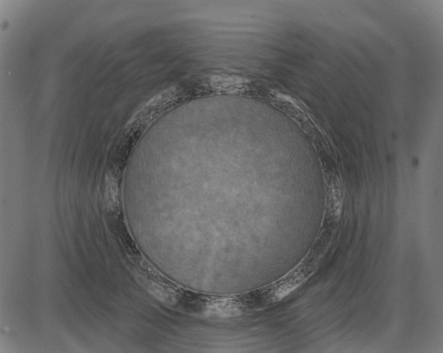 X0000084560705200703091745