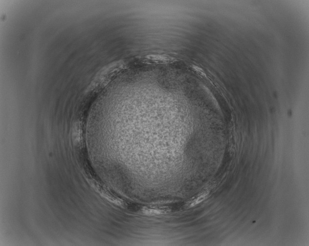 X0000084560706200703091745