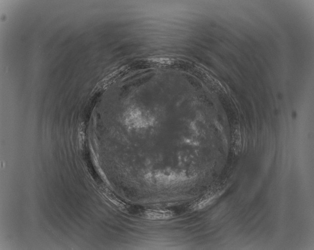 X0000084560707200703091745