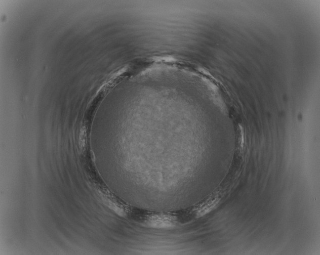 X0000084560708200703091745