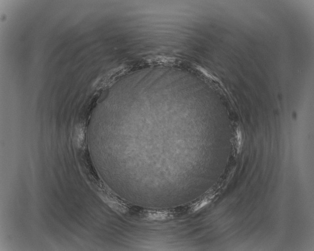 X0000084560709200703091745