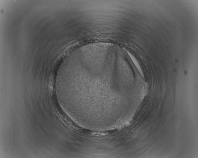 X0000084560710200703091745