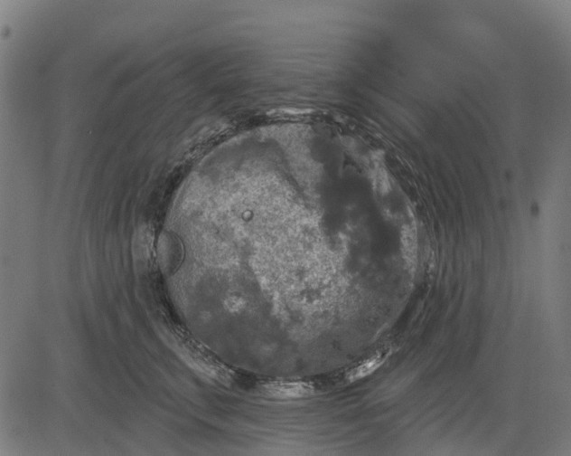 X0000084560711200703091745